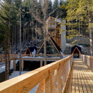 Brama w Gorce, ścieżka w koronach drzew