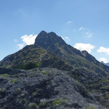 The view from the window is unique