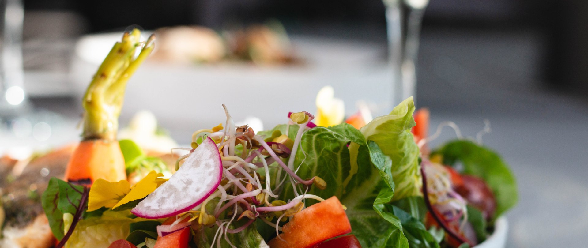 Aparton, Ustka-Przewłoka