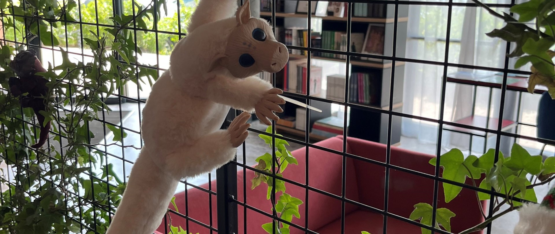 Gdzie mieszkają dzikie stwory?