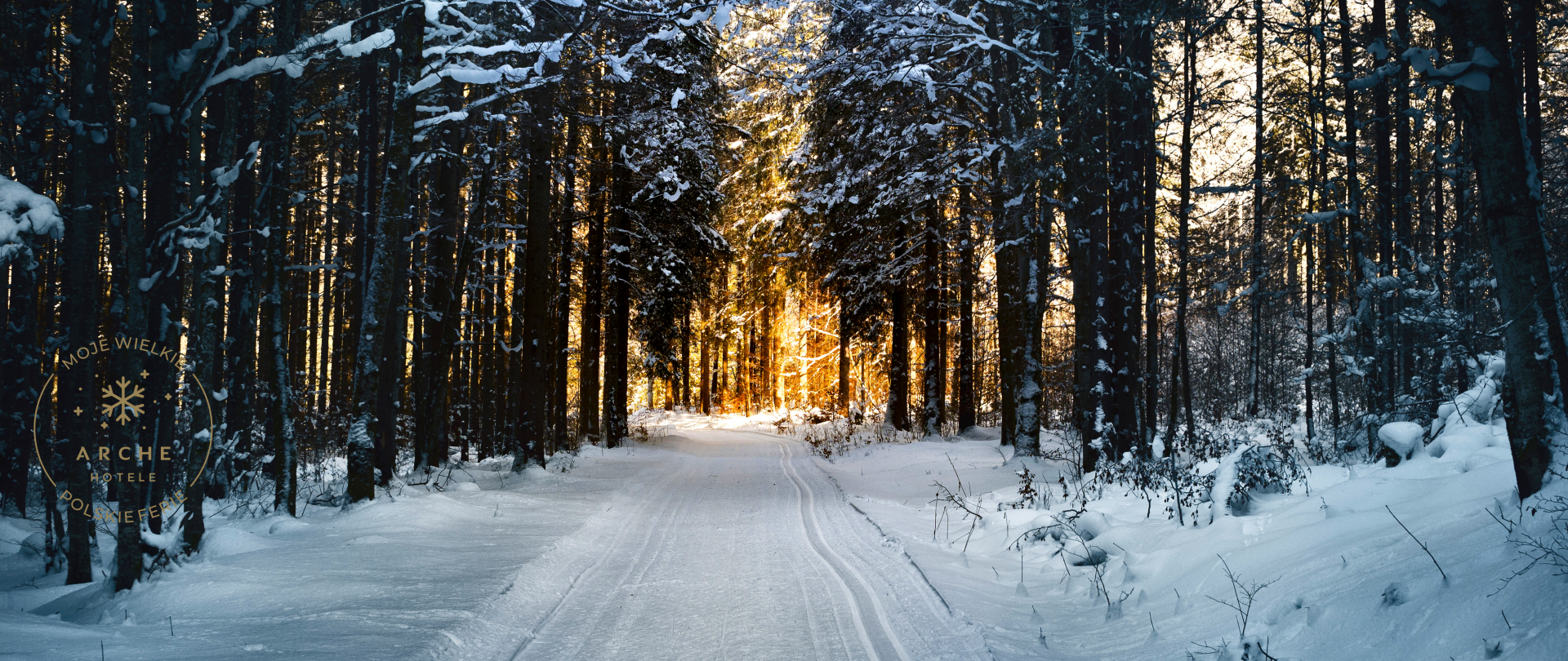 Główna dostępność