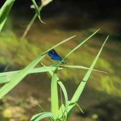Atrakcje turystyczne w Pile i okolicy 