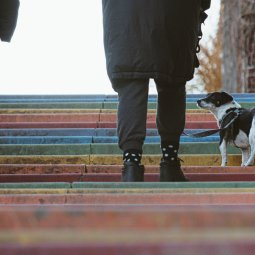  Colorful stairs in the heart of Podgórze, full of artistic spirit
