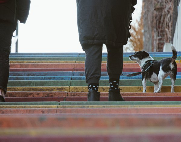 film prezentujący atrakcje na krakowskim Podgórzu