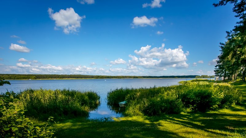 Wesela nad jeziorem