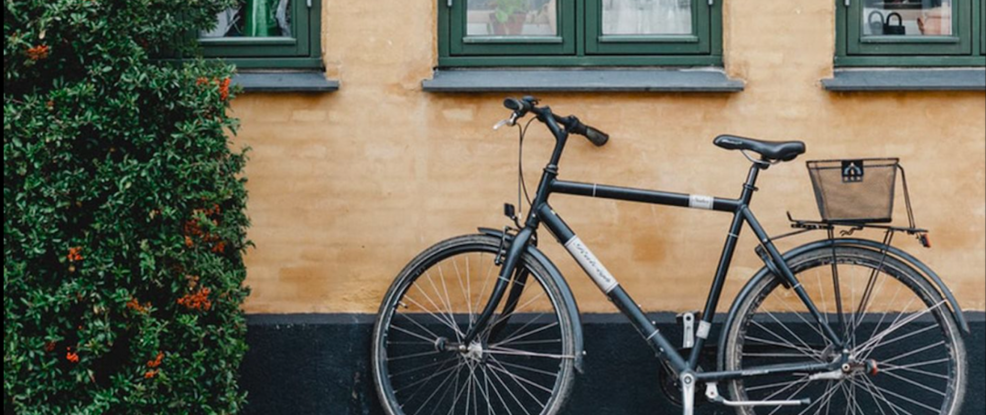 День Велосипеда