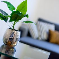 Апартаменты