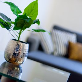 Апартаменты