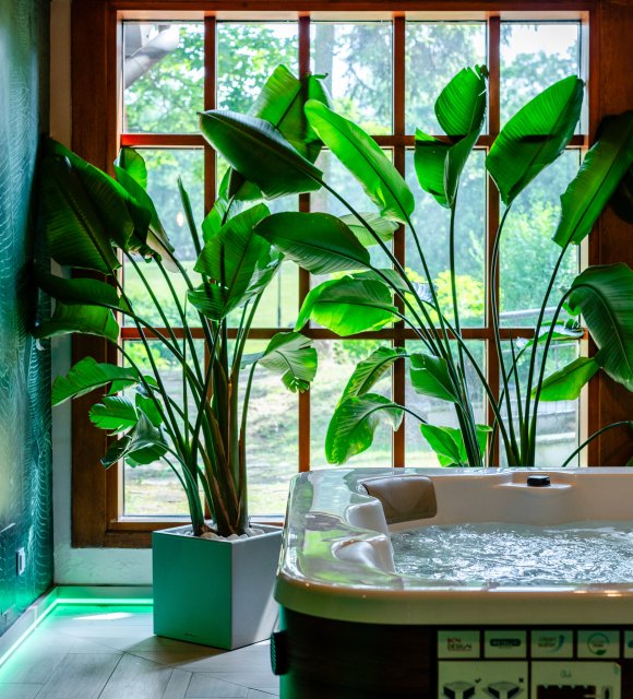 Strefa Wellness i MediSPA &ndash; sauny śląskie, jacuzzi