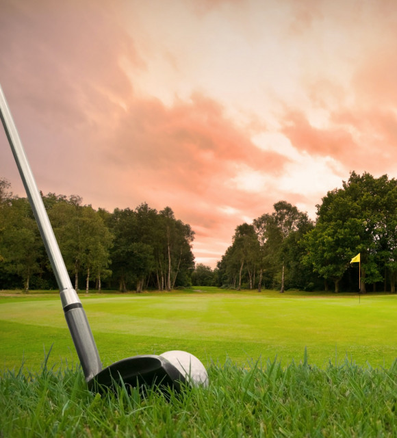 Atrakcje najbliższej okolicy: