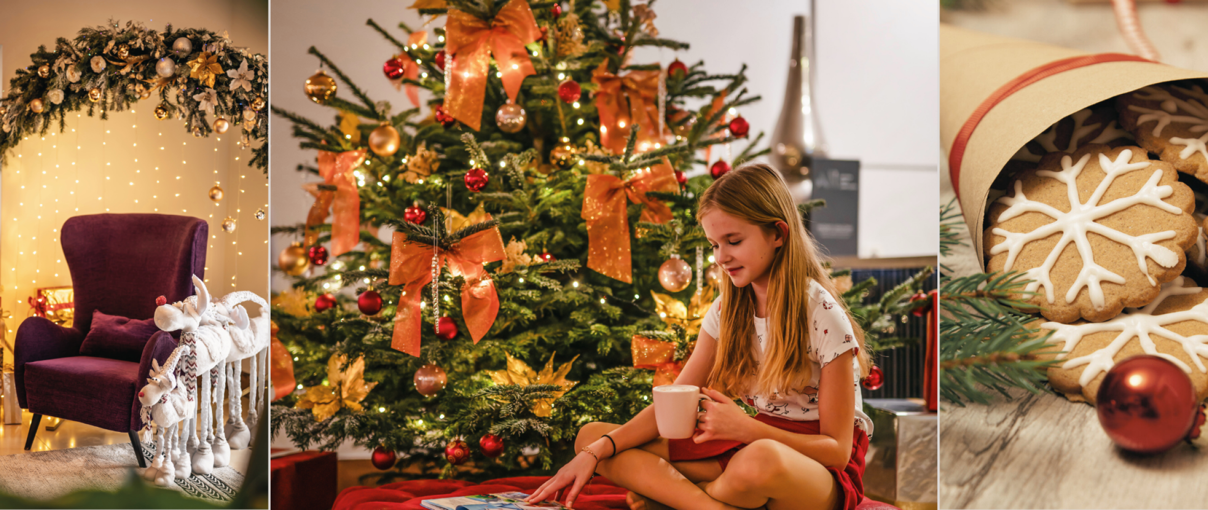 Christmas at Dosłońce Resort – Live Nativity Scene, 30 Minutes from Kraków