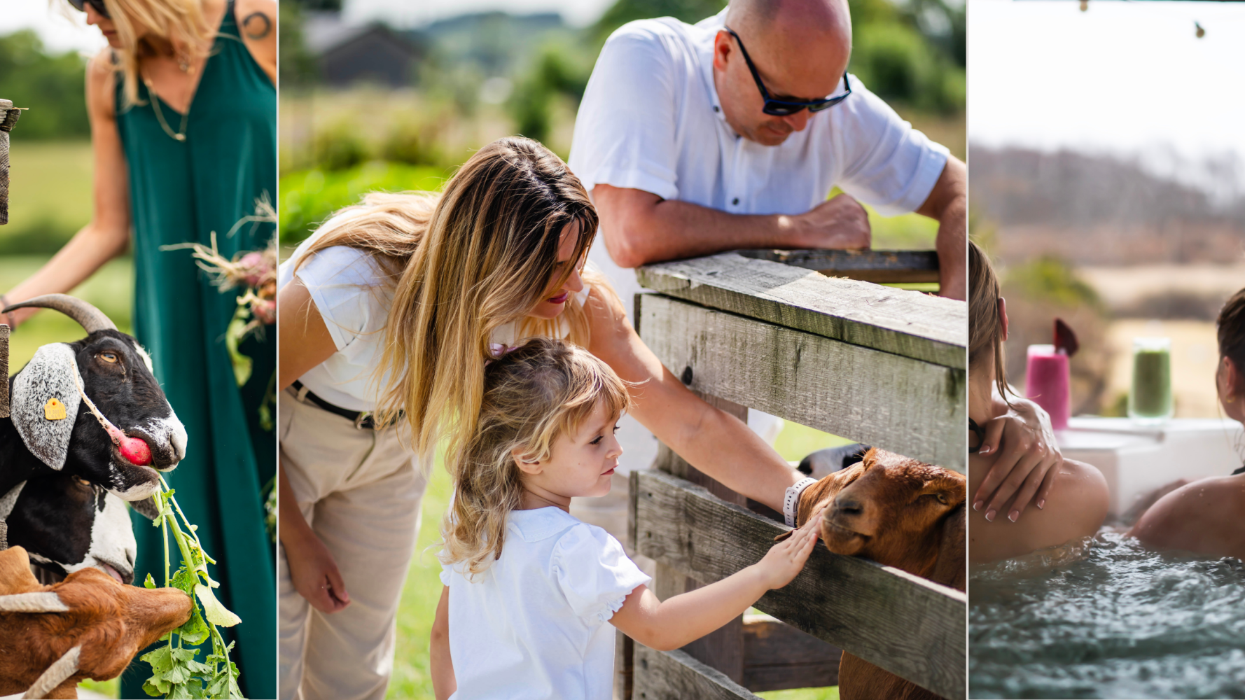 A Day Out Near Krakow &ndash; Pool, Farm Animals & Lunch