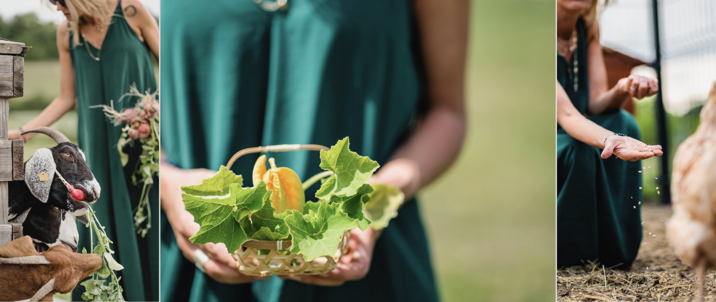 Festiwal Wellness & Farm - 16 sierpnia 