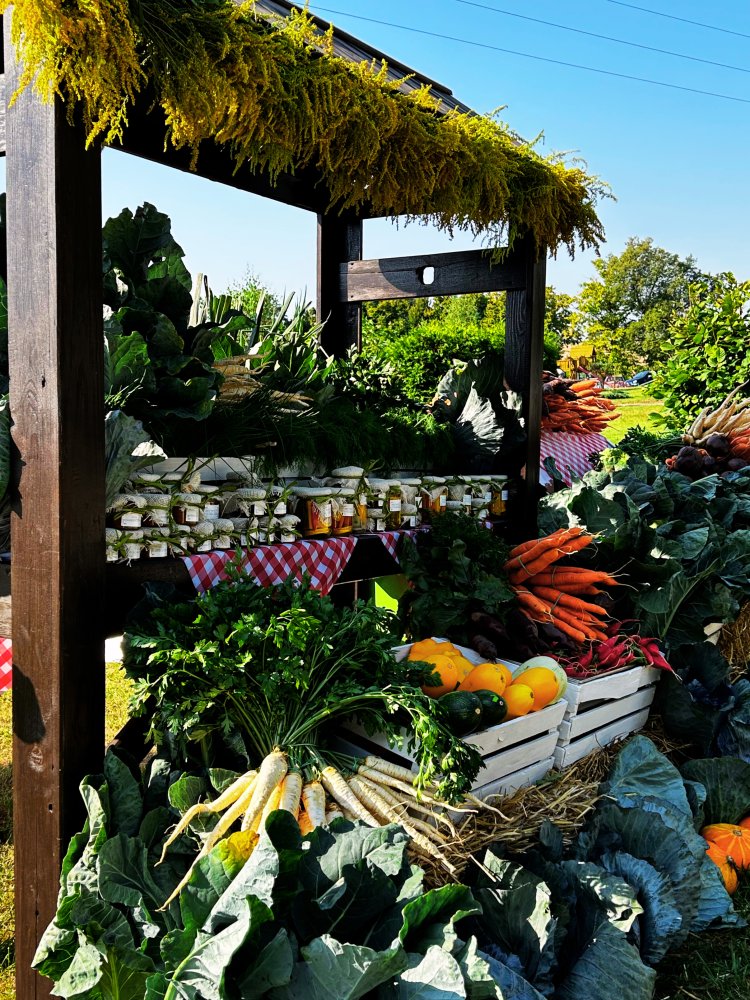 II Wellness & Farm Festiwal &ndash; bezpłatne wydarzenie w Dosłońce Resort Wellness & Farm już 15 sierpnia 2026
