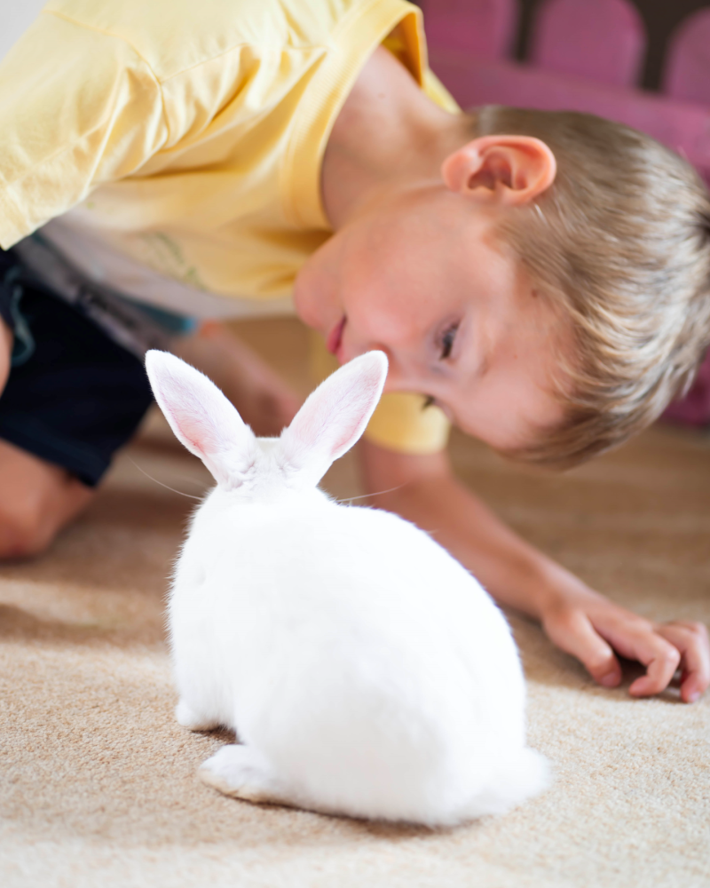 Sprawdź co przygotowaliśmy podczas Świąt Wielkanocy