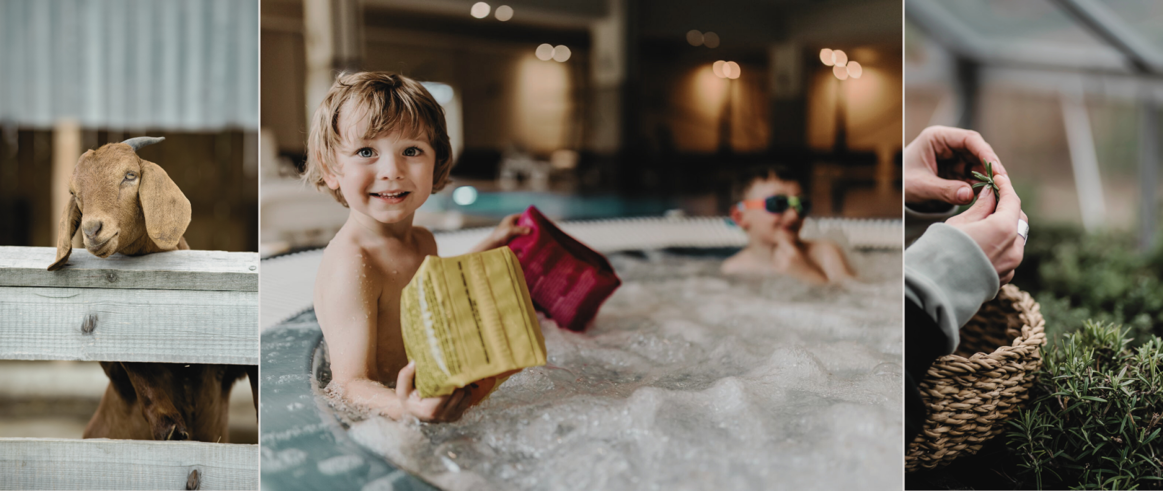 We invite you to discover our detailed program for the June long weekend at Dosłońce Resort