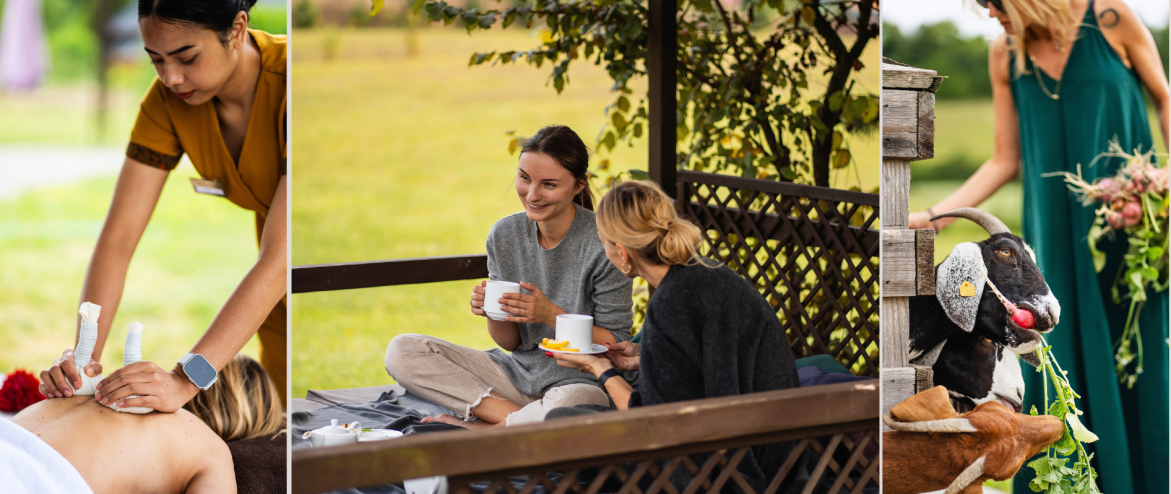 Chillout w Naturze &ndash; W tygodniu Masaż Gratis