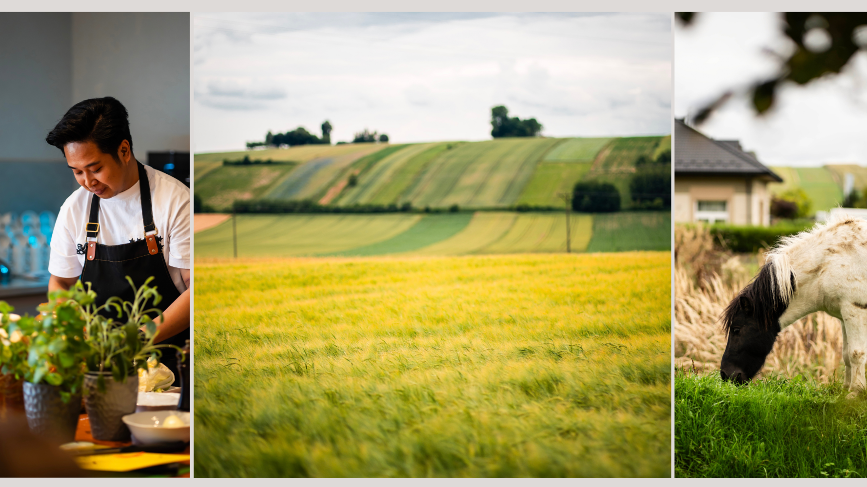 cms.banner_img