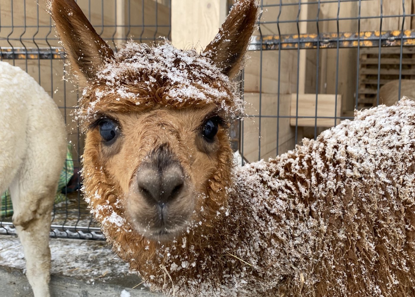 Visit to the Homestead of Dosłońce