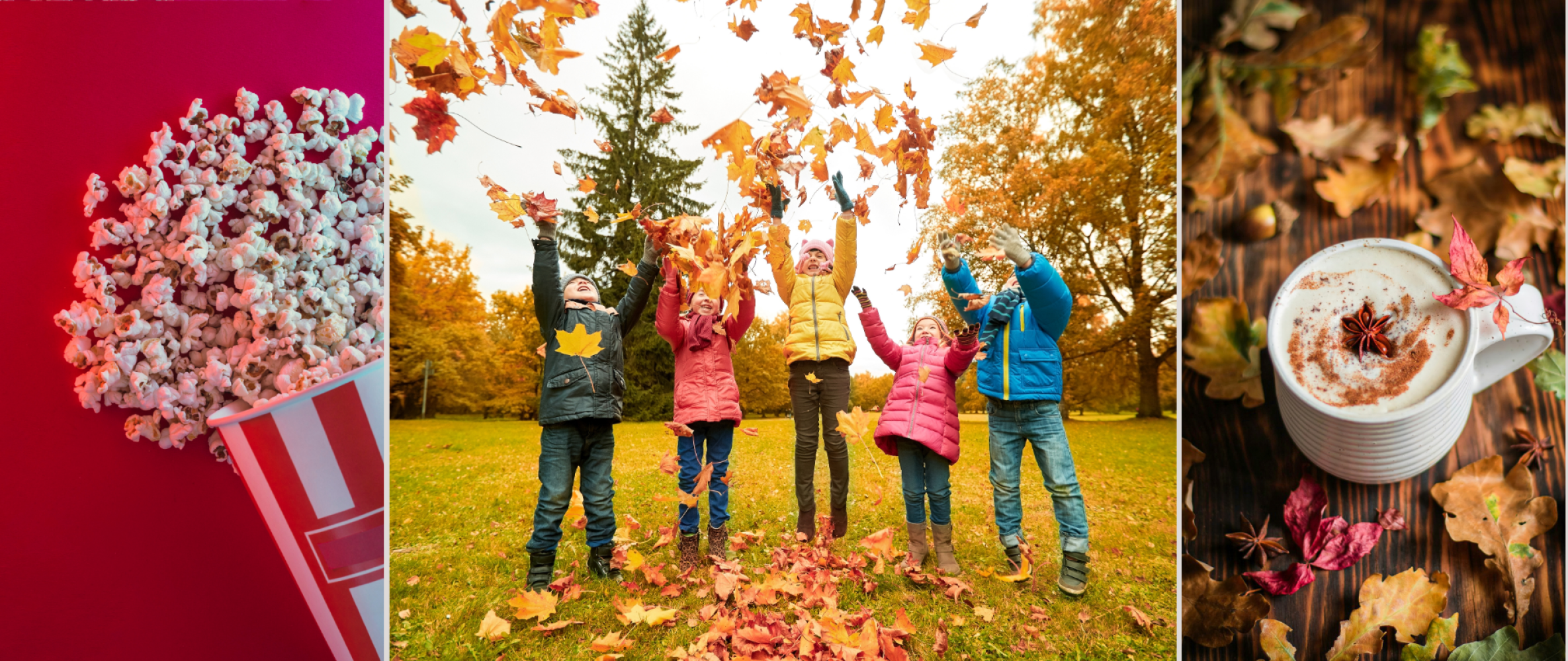 Kolorowa Jesień w Dosłońcu – Dzieci Pełna Radość, Pół Ceny