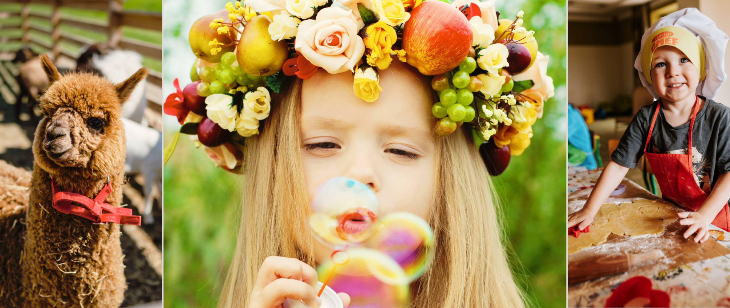 cms.banner_img