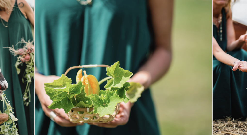 Wellness & Farm Festiwal 16 sierpnia 2025 Wstęp Bezpłatny