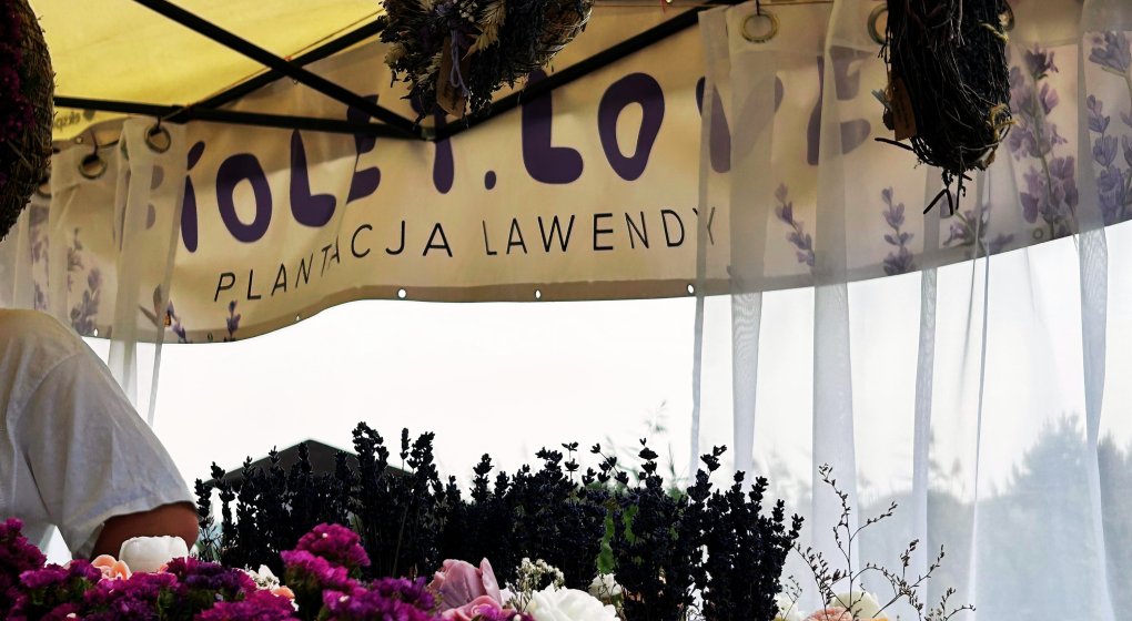 Festiwal Wellness & Farm 15 sierpnia 2026 Wstęp Bezpłatny