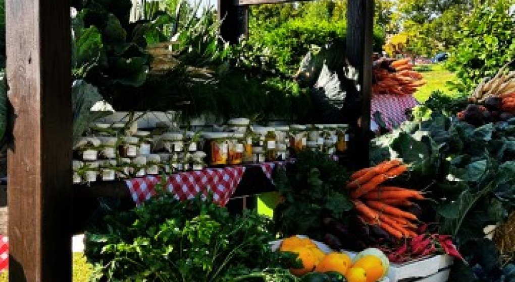 Festiwal Wellness & Farm 15 sierpnia 2026 Wstęp Bezpłatny