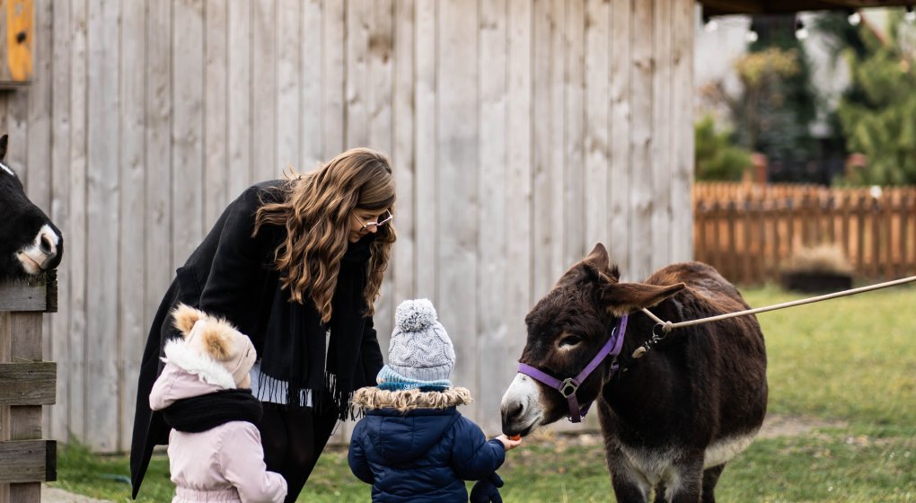 Weekendowa sala zabaw z warsztatami