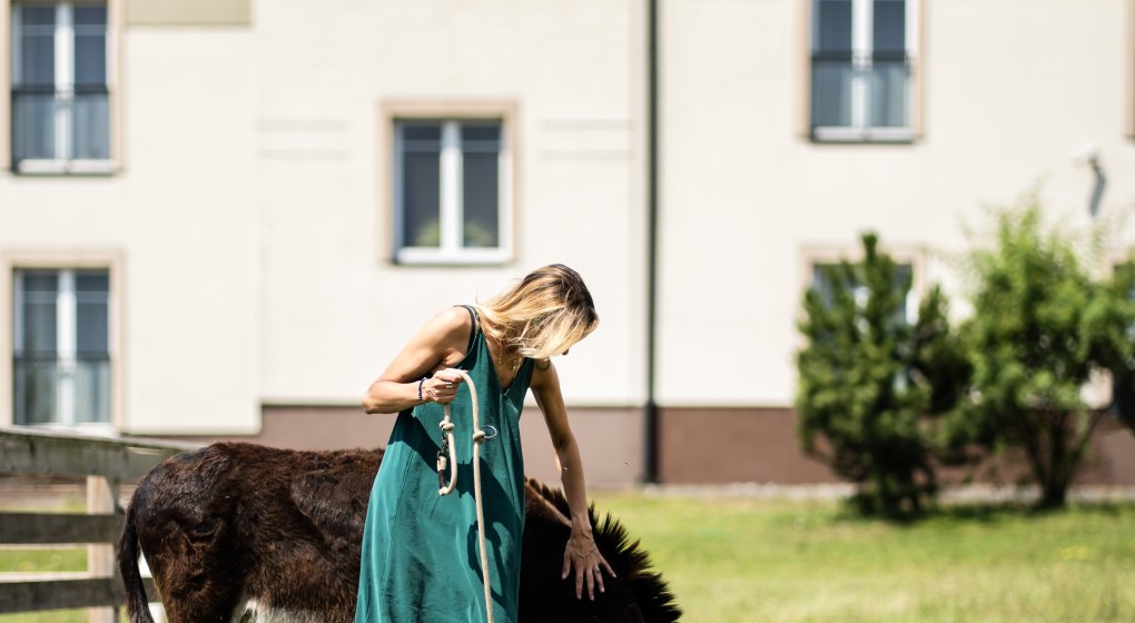 Festiwal Wellness & Farm 15 sierpnia 2026 Wstęp Bezpłatny