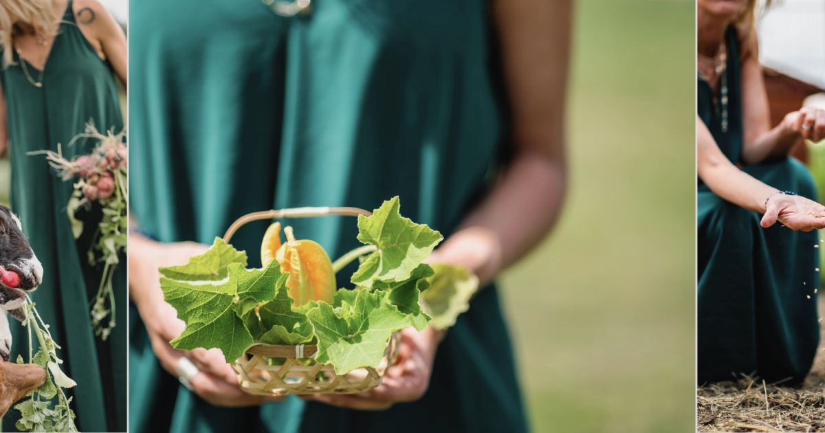 Dosłońce Resort Wellness & Farm