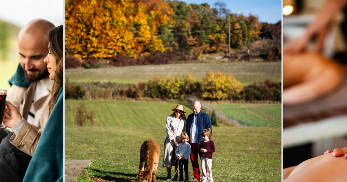 Dosłońce Resort Wellness & Farm