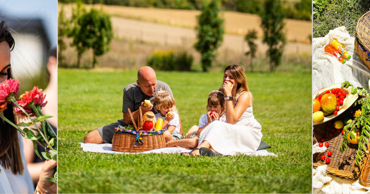 What's happening at the hotel | Hotel Mercure Dosłońce