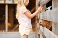 Majówka 2025 w Dosłońce Resort Wellness & Farm – Program już dostępny!