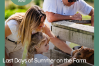 Last Days of Summer on the Farm &ndash; Now from Just 1 Night!