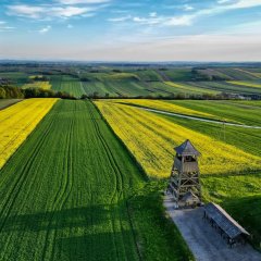 Wieża Widokowa w Dosłońcu – Zachwyć się pięknem Małopolski