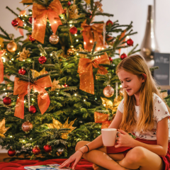 Christmas at Hotel Dosłońce