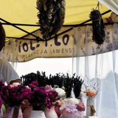 Join Us for the 2nd Wellness & Farm Festival on 15 August 2026