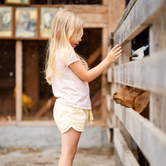 Majówka 2025 w Dosłońce Resort Wellness & Farm – Program już dostępny!