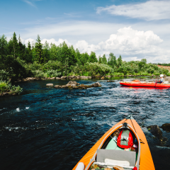 Spływ kajakowy Nidą