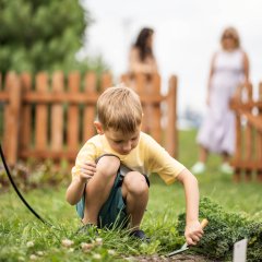 Summer on the Farm 2026 Has Begun