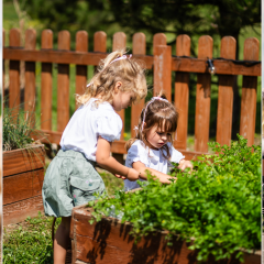 Spring at a farm hotel near Krak&oacute;w - family getaway in nature