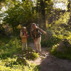 Forest Bathing – Mindful Nature Experience at Dosłońce Resort