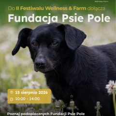 Meet the Dogs of Psie Pole Foundation at the 2nd Wellness & Farm Festival
