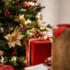 Christmas Away from Home – A Family Stay at a Hotel near Kraków