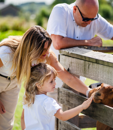 Pomysł na dzień za miastem pod Krakowem &ndash; basen, farma i obiad