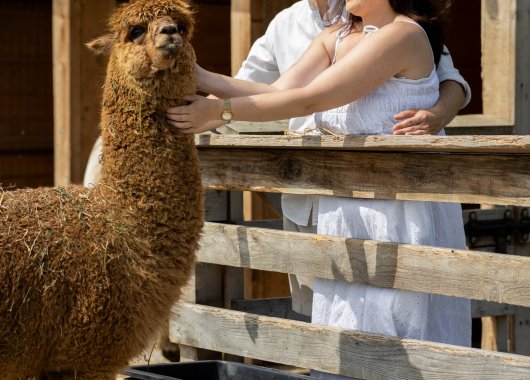 Dołącz do programu 8 Kroków Wellness i odzyskaj wewnętrzną równowagę 