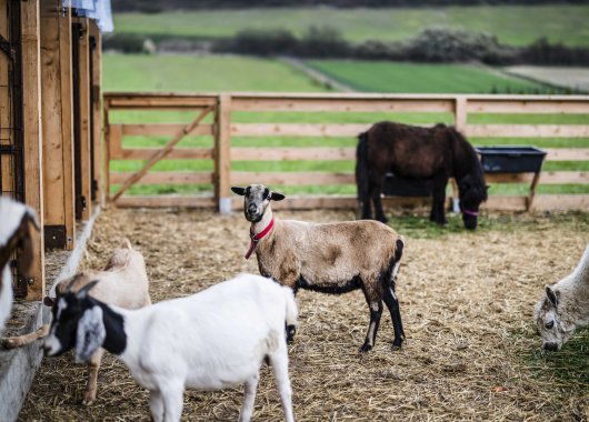 Harmony of Flavors Restaurant