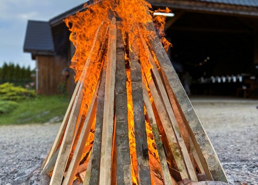 Daily Program at Dosłońce Resort