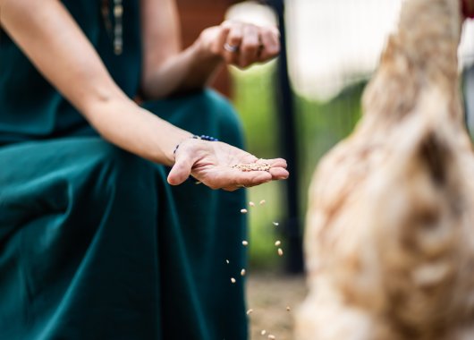 Program Pobytu w Dosłońce Resort